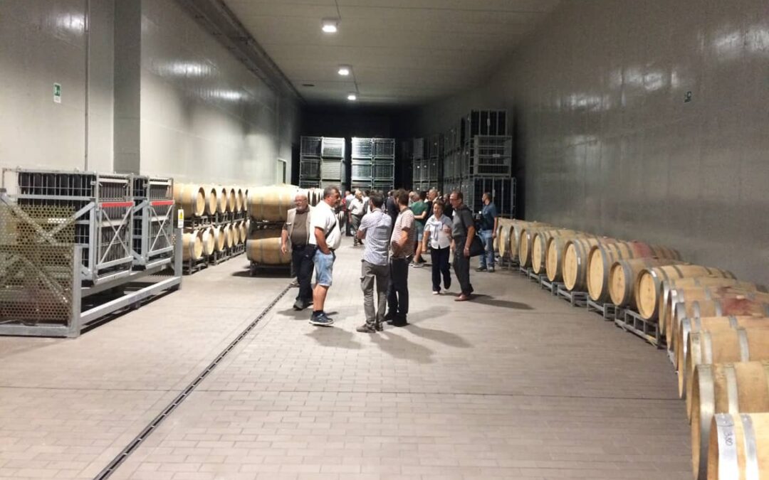 Cantina di Aldeno